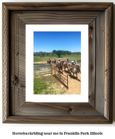 horseback riding near me in Franklin Park, Illinois